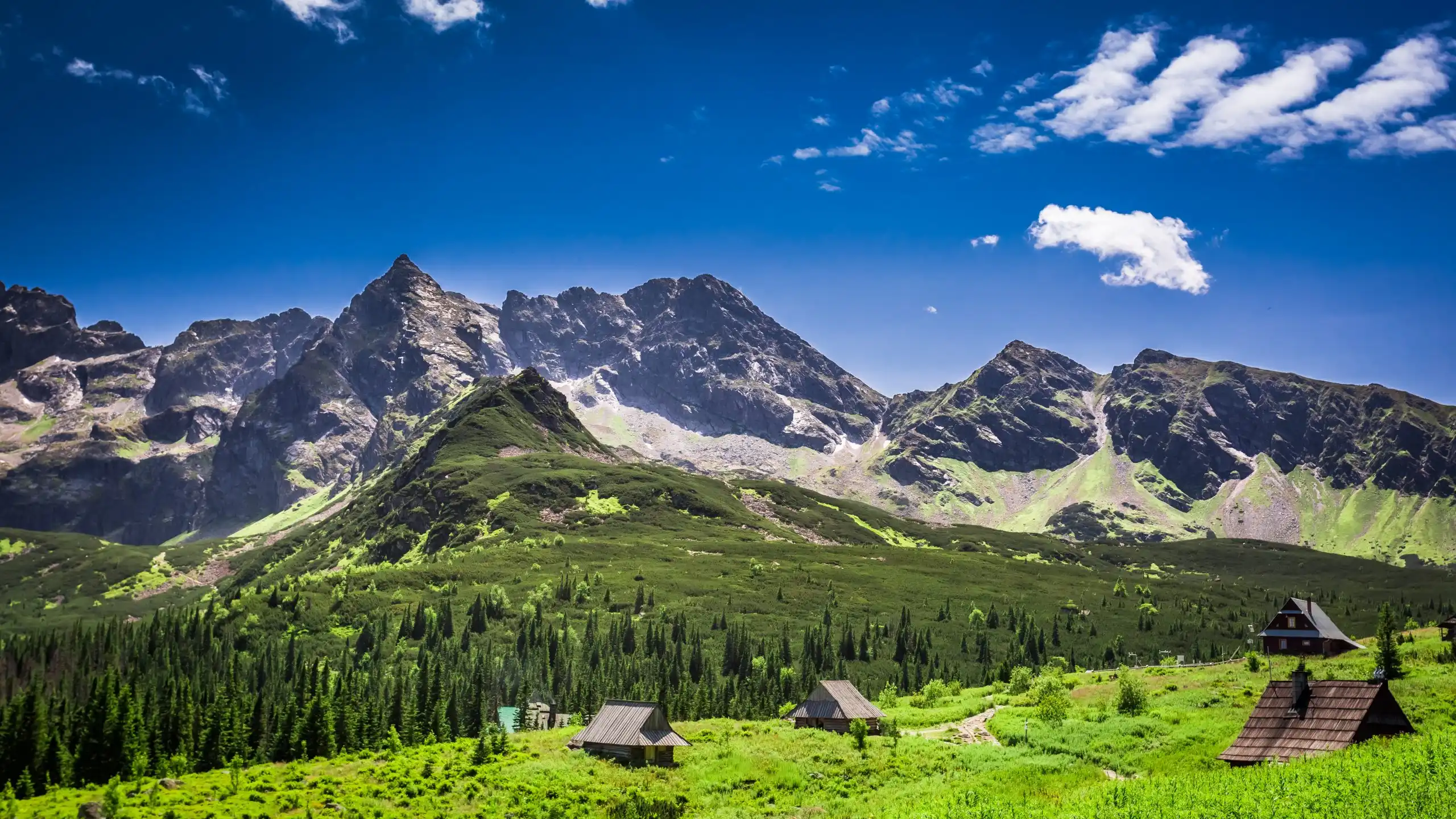 Panorama Tatr — Hala Gąsienicowa